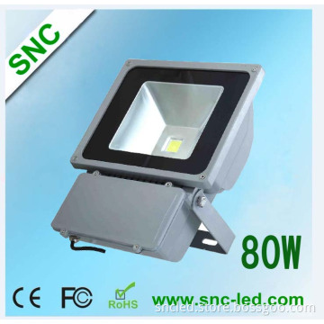 RGB LED 80W Flood Light Outdoor Waterproof Bridgelux COB
